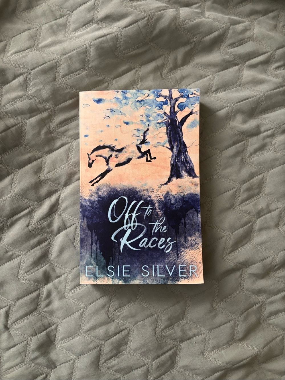 Off to the Races by Elsie Silver - SPECIAL EDITION